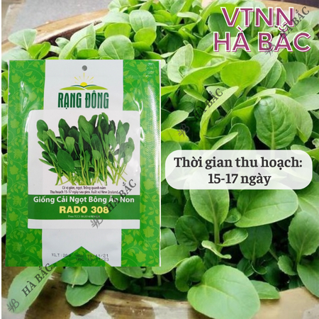 Hạt Giống Cải Ngọt Bông Ăn Non RADO 308 (Gói 20g~6000 Hạt) Rạng Đông, Nhanh Thu Hoạch, Dễ Gieo Trồng, Xanh Mướt