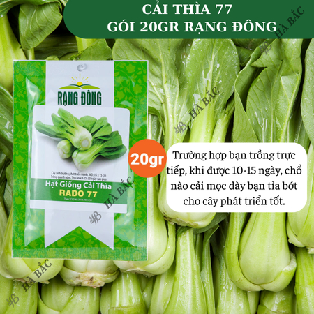 Hạt Giống Cải Thìa RADO 77 (Gói 20g~3500 Hạt) Rạng Đông, Sinh Trưởng Mạnh, Nhanh Thu Hoạch