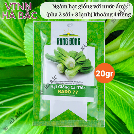 Hạt Giống Cải Thìa RADO 77 (Gói 20g~3500 Hạt) Rạng Đông, Sinh Trưởng Mạnh, Nhanh Thu Hoạch