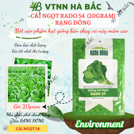 Hạt Giống Cải Ngọt RADO 54 (Gói 20g~6000 Hạt) Rạng Đông, Dễ Gieo Trồng, Thu Hoạch Nhanh, Giòn, Ngọt