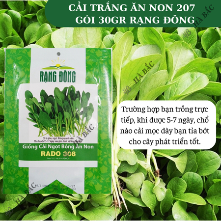 Hạt Giống Cải Ngọt Bông Ăn Non RADO 308 (Gói 20g~6000 Hạt) Rạng Đông, Nhanh Thu Hoạch, Dễ Gieo Trồng, Xanh Mướt