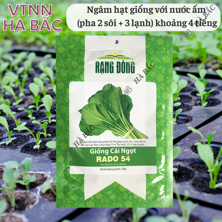 Hạt Giống Cải Ngọt RADO 54 (Gói 20g~6000 Hạt) Rạng Đông, Dễ Gieo Trồng, Thu Hoạch Nhanh, Giòn, Ngọt