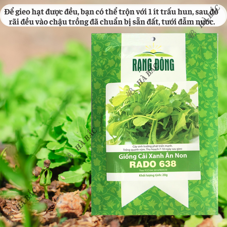 Hạt Giống Cải Xanh Ăn Non RADO 638 (Gói 20g~2000 Hạt) Rạng Đông,Nảy Mầm Tốt, Dễ Gieo Trồng, Nhanh Thu Hoạch