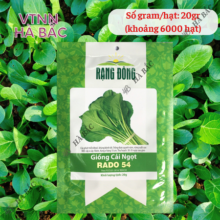 Hạt Giống Cải Ngọt RADO 54 (Gói 20g~6000 Hạt) Rạng Đông, Dễ Gieo Trồng, Thu Hoạch Nhanh, Giòn, Ngọt
