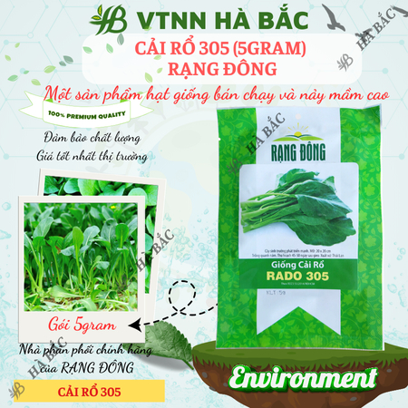 Hạt Giống Cải Rổ Rado 305 (Gói 5g~500 Hạt) Rạng Đông, Nảy Mầm Nhanh, Dễ Chăm Sóc