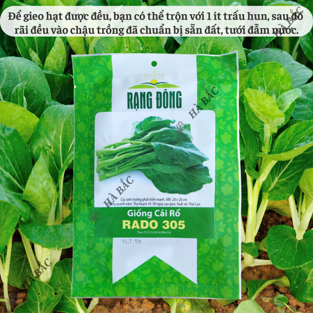 Hạt Giống Cải Rổ Rado 305 (Gói 5g~500 Hạt) Rạng Đông, Nảy Mầm Nhanh, Dễ Chăm Sóc