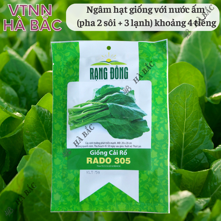 Hạt Giống Cải Rổ Rado 305 (Gói 5g~500 Hạt) Rạng Đông, Nảy Mầm Nhanh, Dễ Chăm Sóc