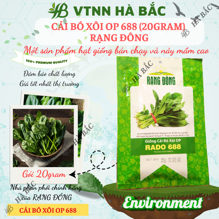 Hạt Giống Cải Bó Xôi OP RADO 688 (Gói 20g~2800 Hạt) Rạng Đông, Chịu Nhiệt Tốt, Dễ Gieo Trồng, Xanh Mướt