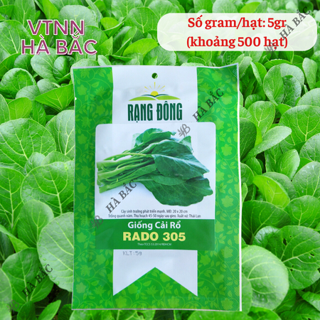 Hạt Giống Cải Rổ Rado 305 (Gói 5g~500 Hạt) Rạng Đông, Nảy Mầm Nhanh, Dễ Chăm Sóc