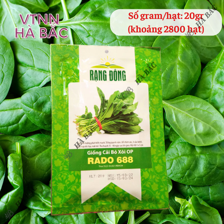 Hạt Giống Cải Bó Xôi OP RADO 688 (Gói 20g~2800 Hạt) Rạng Đông, Chịu Nhiệt Tốt, Dễ Gieo Trồng, Xanh Mướt