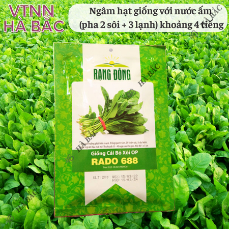 Hạt Giống Cải Bó Xôi OP RADO 688 (Gói 20g~2800 Hạt) Rạng Đông, Chịu Nhiệt Tốt, Dễ Gieo Trồng, Xanh Mướt