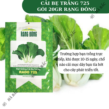Hạt Giống Cải Bẹ Trắng RADO 725 (Gói 20g~3500 Hạt) Rạng Đông, Nảy Mầm Tốt, Trồng Quanh Năm