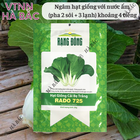Hạt Giống Cải Bẹ Trắng RADO 725 (Gói 20g~3500 Hạt) Rạng Đông, Nảy Mầm Tốt, Trồng Quanh Năm
