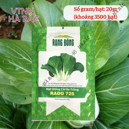 Hạt Giống Cải Bẹ Trắng RADO 725 (Gói 20g~3500 Hạt) Rạng Đông, Nảy Mầm Tốt, Trồng Quanh Năm