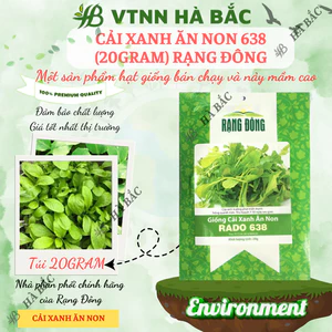 Hạt Giống Cải Xanh Ăn Non RADO 638 (Gói 20g~2000 Hạt) Rạng Đông,Nảy Mầm Tốt, Dễ Gieo Trồng, Nhanh Thu Hoạch