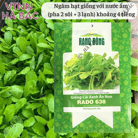 Hạt Giống Cải Xanh Ăn Non RADO 638 (Gói 20g~2000 Hạt) Rạng Đông,Nảy Mầm Tốt, Dễ Gieo Trồng, Nhanh Thu Hoạch