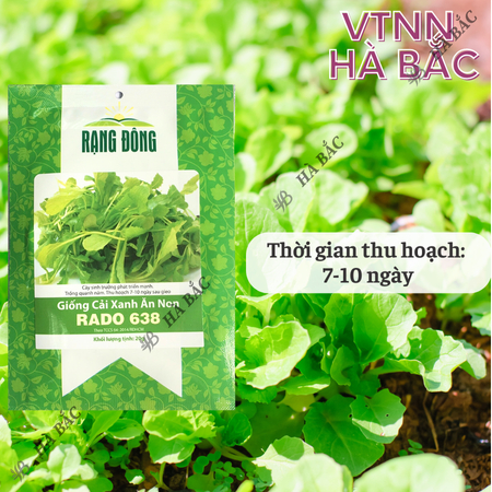 Hạt Giống Cải Xanh Ăn Non RADO 638 (Gói 20g~2000 Hạt) Rạng Đông,Nảy Mầm Tốt, Dễ Gieo Trồng, Nhanh Thu Hoạch