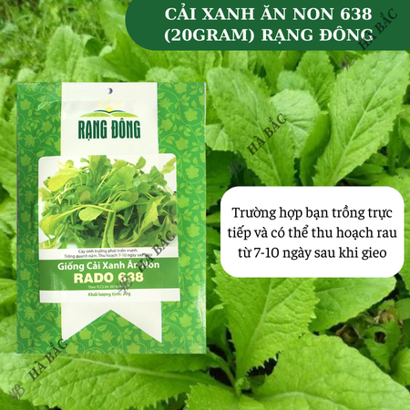 Hạt Giống Cải Xanh Ăn Non RADO 638 (Gói 20g~2000 Hạt) Rạng Đông,Nảy Mầm Tốt, Dễ Gieo Trồng, Nhanh Thu Hoạch