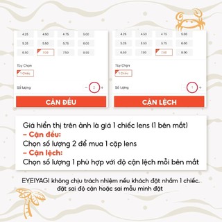Kính áp tròng màu nâu tự nhiên - Lens Brown 6 tháng độ cận từ 0 độ đến 8 độ