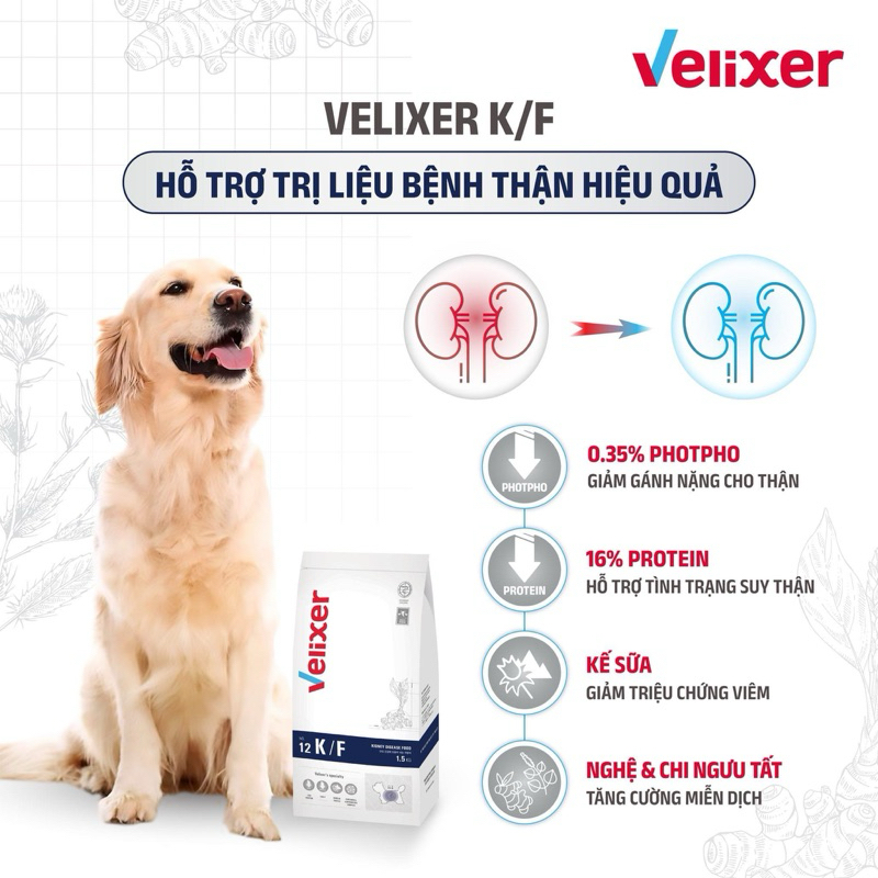 THỨC ĂN HỖ TRỢ CHUYÊN BIỆT DÀNH CHO CHÓ BỊ THẬN VELIXER K/F - KIDNEY ...
