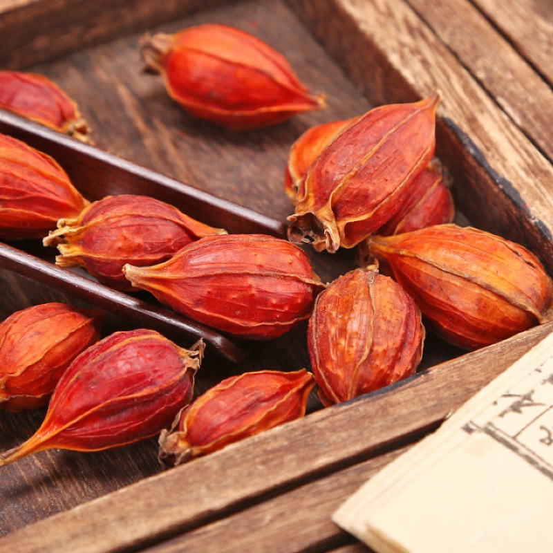 500GR Quả Dành Dành, Hạt Dành Dành, Chi Tử Tạo Màu Vàng Tự Nhiên Dùng Làm Xôi, Bánh, Chè...