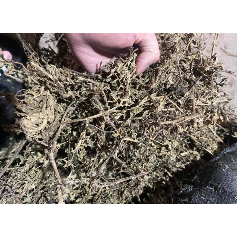 500GR Ngải Cứu, Ngải Diệp Khô, Sạch, Đẹp Hàng Loại 1