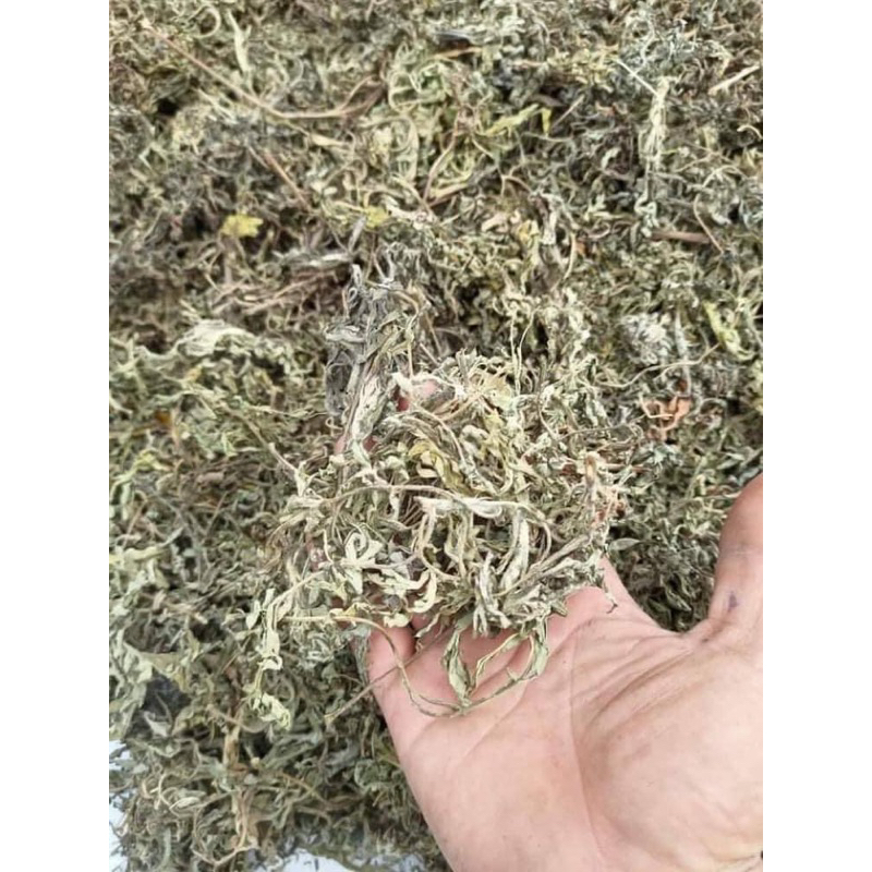500GR Ngải Cứu, Ngải Diệp Khô, Sạch, Đẹp Hàng Loại 1