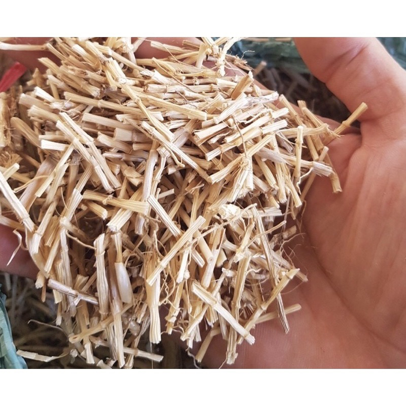 1KG Rễ Cỏ Tranh, Bạch Mao Căn Sấy Khô Dùng Nấu Nước Sâm Hàng Loại 1
