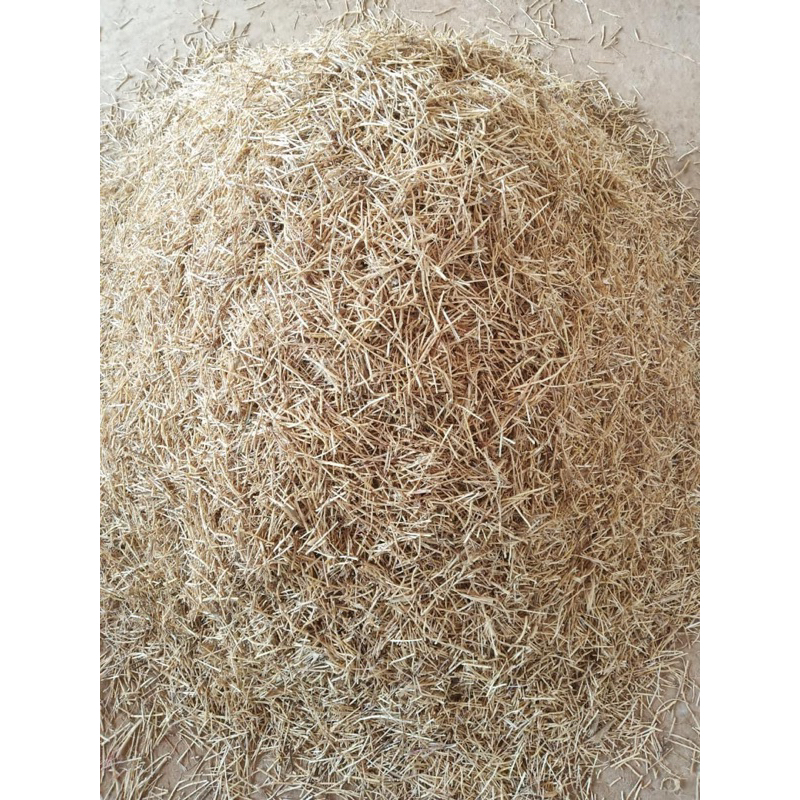 1KG Rễ Cỏ Tranh, Bạch Mao Căn Sấy Khô Dùng Nấu Nước Sâm Hàng Loại 1