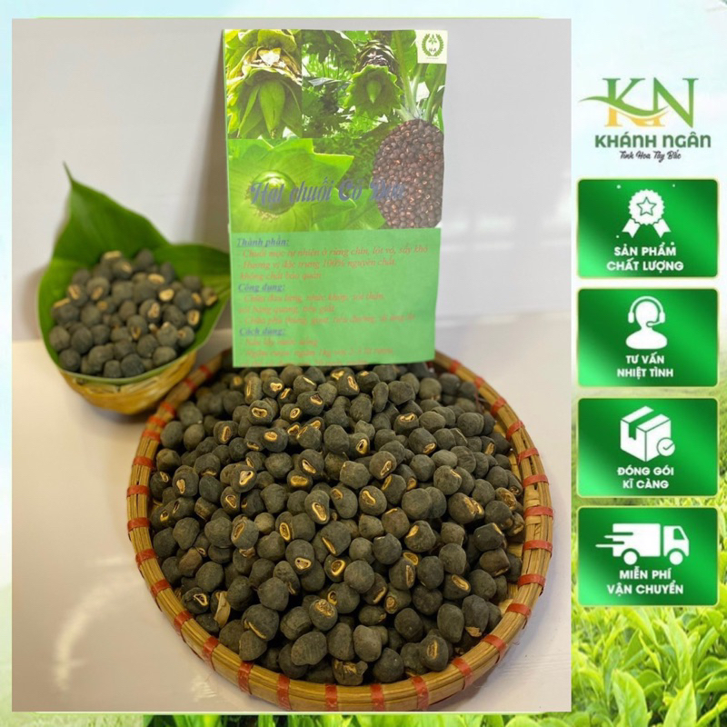 Hạt Chuối Cô Đơn – Hạt Chuối Rừng Khô – Dược Liệu Tự Nhiên Tây Bắc