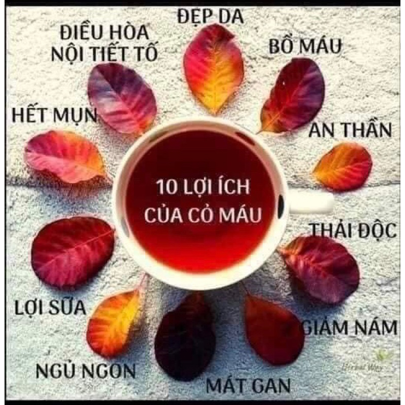 Trà cỏ máu-huyết đằng,cỏ béo tăng cân mix vị(thơm ,sạch,dễ uống) trà bổ huyết, ngủ ngon, ăn ngon 1kg