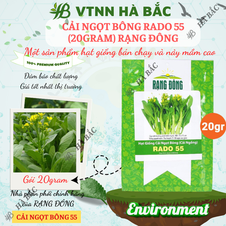 Hạt Giống Cải Ngọt Bông RADO 55 (Gói 20g~6000 Hạt) Rạng Đông, Chịu Nhiệt Tốt, Trồng Quanh Năm – [Cải Ngồng]