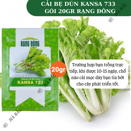 Hạt Giống Cải Bẹ Dún Kansa RADO 733 (Gói 20g~3500 Hạt) Rạng Đông, Chịu Nhiệt Tốt, Ít Sâu Bệnh, Cây To, Đều