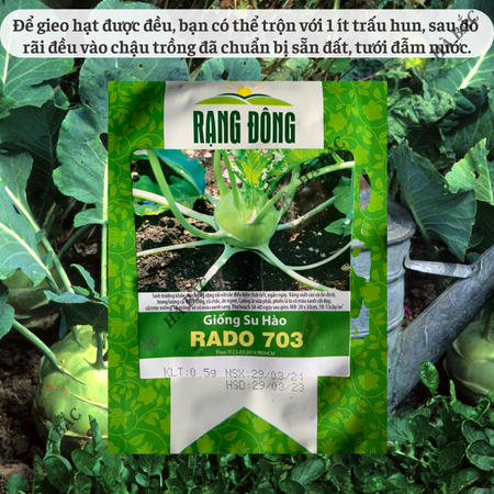 Hạt Giống Su Hào Rado 703 (Gói 5g ~700 Hạt) Rạng Đông, Chịu Nhiệt Tốt, Củ To Tròn, Ngọt