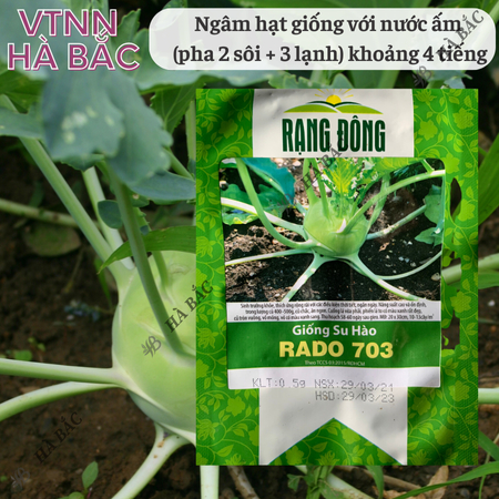 Hạt Giống Su Hào Rado 703 (Gói 5g ~700 Hạt) Rạng Đông, Chịu Nhiệt Tốt, Củ To Tròn, Ngọt