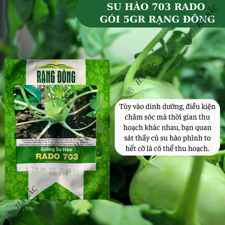 Hạt Giống Su Hào Rado 703 (Gói 5g ~700 Hạt) Rạng Đông, Chịu Nhiệt Tốt, Củ To Tròn, Ngọt
