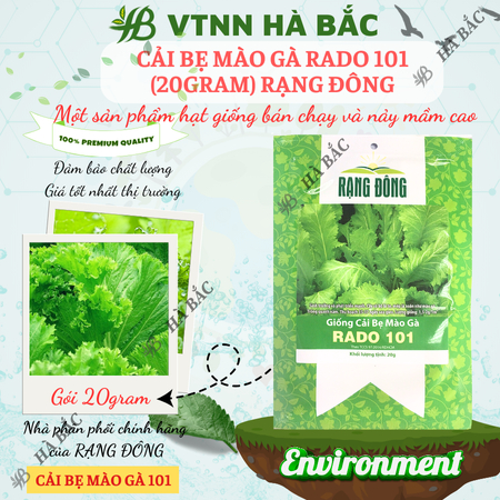 Hạt Giống Cải Bẹ Mào Gà RADO 101 (Gói 20g~2000 Hạt) Rạng Đông, Ít Sâu Bệnh, Trồng Quanh Năm