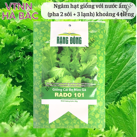 Hạt Giống Cải Bẹ Mào Gà RADO 101 (Gói 20g~2000 Hạt) Rạng Đông, Ít Sâu Bệnh, Trồng Quanh Năm