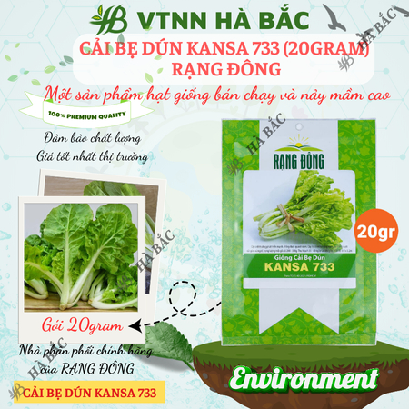 Hạt Giống Cải Bẹ Dún Kansa RADO 733 (Gói 20g~3500 Hạt) Rạng Đông, Chịu Nhiệt Tốt, Ít Sâu Bệnh, Cây To, Đều