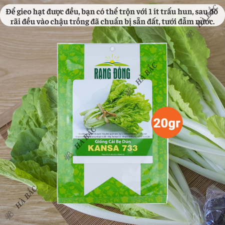 Hạt Giống Cải Bẹ Dún Kansa RADO 733 (Gói 20g~3500 Hạt) Rạng Đông, Chịu Nhiệt Tốt, Ít Sâu Bệnh, Cây To, Đều