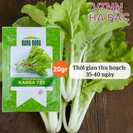 Hạt Giống Cải Bẹ Dún Kansa RADO 733 (Gói 20g~3500 Hạt) Rạng Đông, Chịu Nhiệt Tốt, Ít Sâu Bệnh, Cây To, Đều
