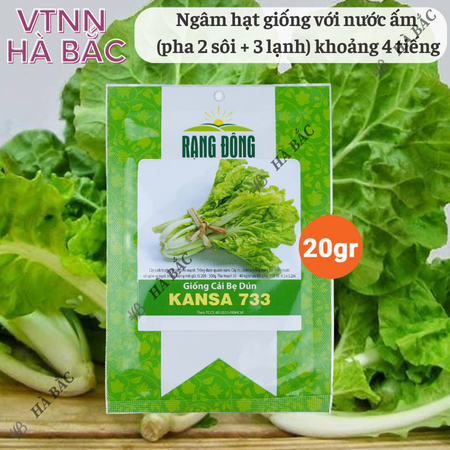Hạt Giống Cải Bẹ Dún Kansa RADO 733 (Gói 20g~3500 Hạt) Rạng Đông, Chịu Nhiệt Tốt, Ít Sâu Bệnh, Cây To, Đều