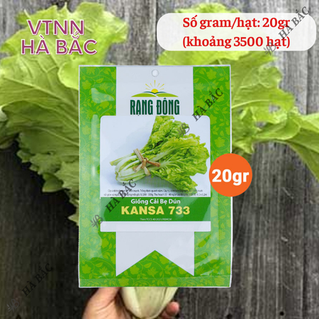 Hạt Giống Cải Bẹ Dún Kansa RADO 733 (Gói 20g~3500 Hạt) Rạng Đông, Chịu Nhiệt Tốt, Ít Sâu Bệnh, Cây To, Đều