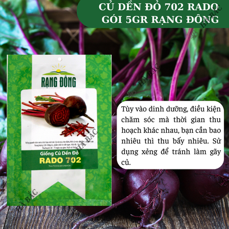 Hạt Giống Củ Dền Đỏ RADO 702 (Gói 5g~300 Hạt) Rạng Đông, Củ To, Trồng Quanh Năm, Chịu Nhiệt Tốt