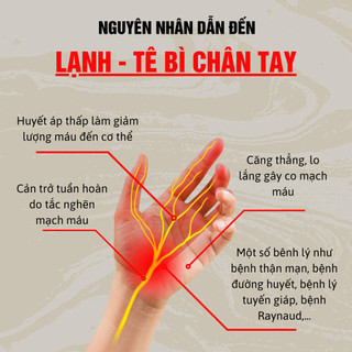 [Lạnh chân tay] Trà chống lạnh chân lạnh tay Fengcha cho người cơ địa hàn tính, lạnh về đêm, lạnh buốt vào mùa đông