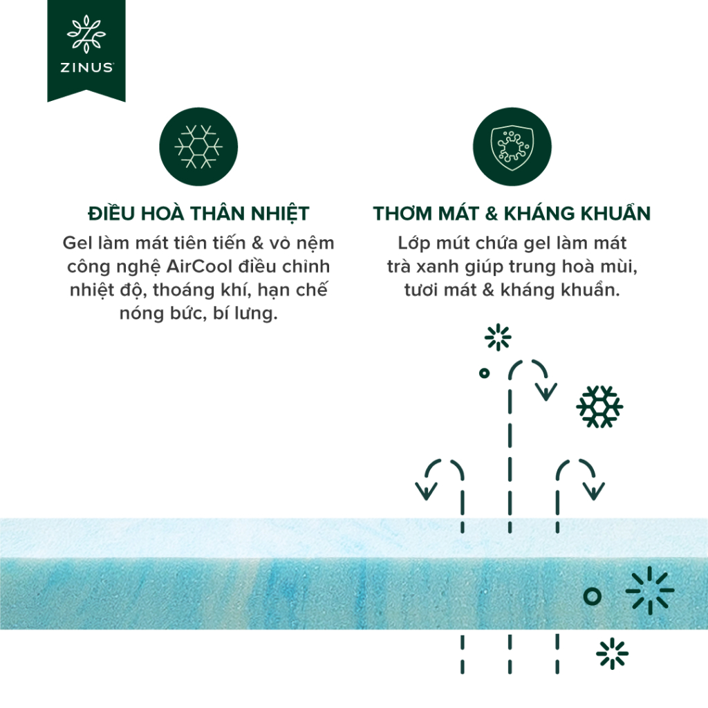 Ảnh Nệm Foam Tinh Chất Trà Xanh Cao Cấp Dày 25cm Zinus - 10in Cooling Gel Memory Foam Mattress 3