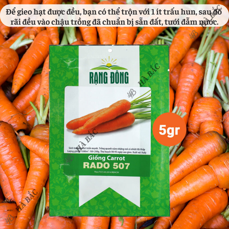 Hạt Giống Cà Rốt RADO 507 (Gói 5g~2800 Hạt) Rạng Đông, Củ To, Dài, Sinh Trưởng Khỏe