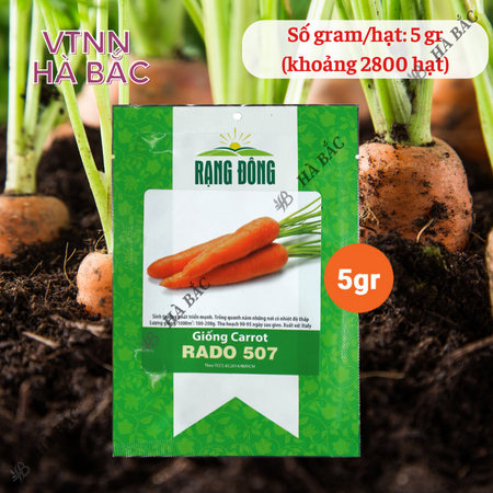 Hạt Giống Cà Rốt RADO 507 (Gói 5g~2800 Hạt) Rạng Đông, Củ To, Dài, Sinh Trưởng Khỏe