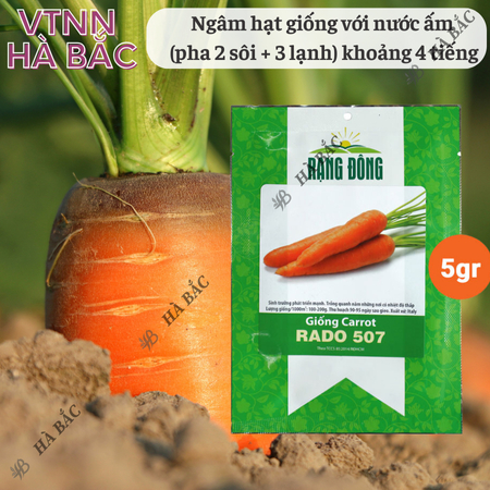 Hạt Giống Cà Rốt RADO 507 (Gói 5g~2800 Hạt) Rạng Đông, Củ To, Dài, Sinh Trưởng Khỏe