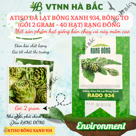 Hạt Giống Atiso Đà Lạt Bông Xanh RADO 934 (Gói 2g~40 Hạt) Rạng Đông, Sinh Trưởng Tốt, Trồng Quanh Năm